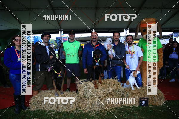 Buy your photos of the eventExpocani Vai Tot Canicross on Fotop