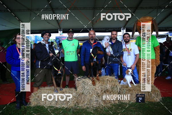 Buy your photos of the eventExpocani Vai Tot Canicross on Fotop