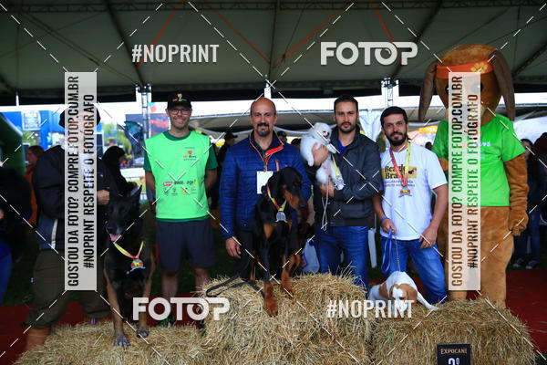 Buy your photos of the eventExpocani Vai Tot Canicross on Fotop