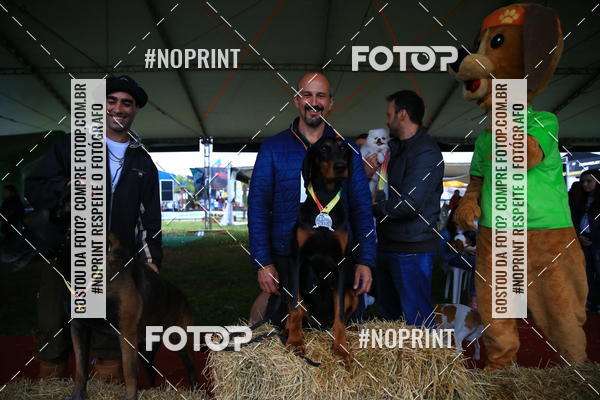 Buy your photos of the eventExpocani Vai Tot Canicross on Fotop