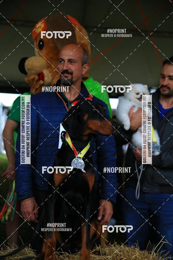 Buy your photos of the eventExpocani Vai Tot Canicross on Fotop