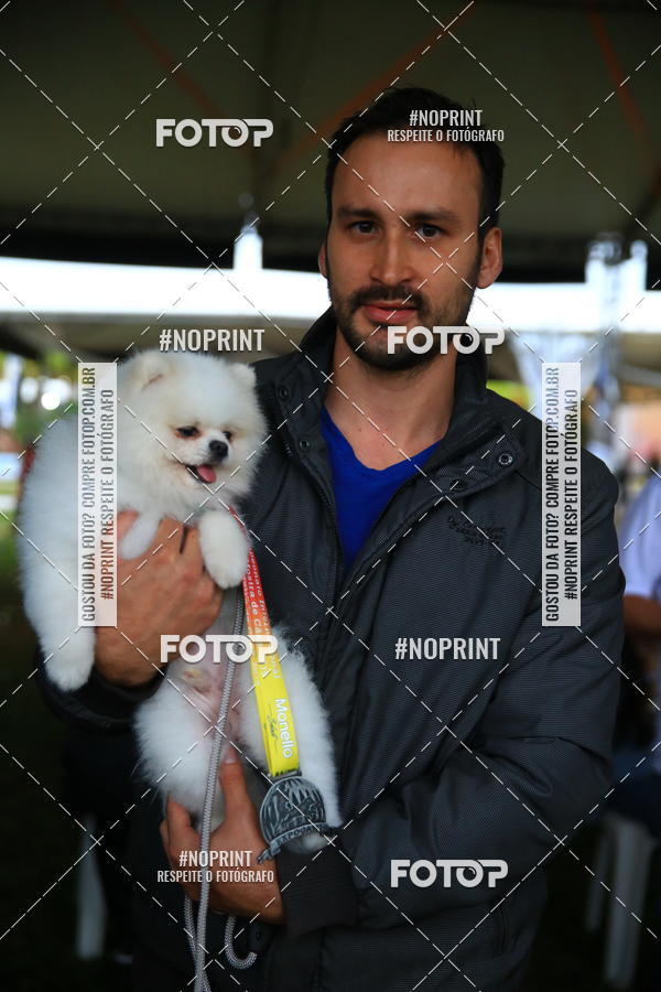 Buy your photos of the eventExpocani Vai Tot Canicross on Fotop