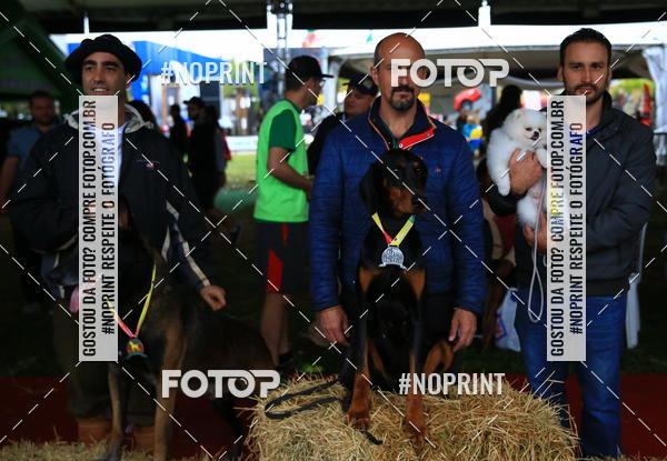 Buy your photos of the eventExpocani Vai Tot Canicross on Fotop