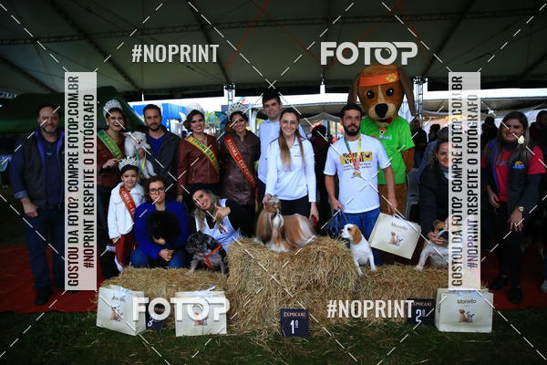 Buy your photos of the eventExpocani Vai Tot Canicross on Fotop