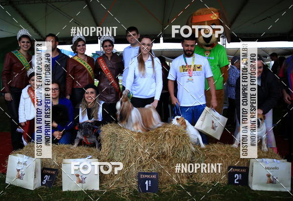 Buy your photos of the eventExpocani Vai Tot Canicross on Fotop