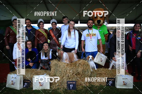 Buy your photos of the eventExpocani Vai Tot Canicross on Fotop