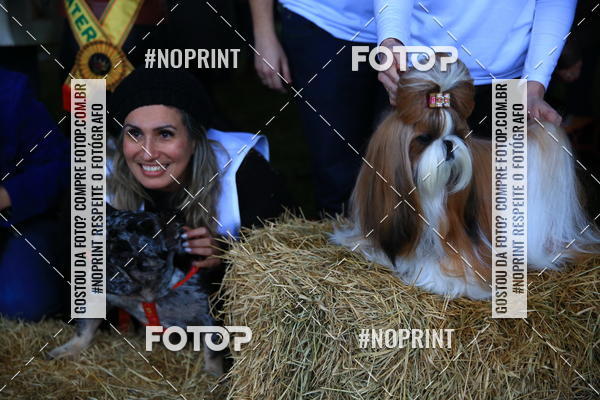 Buy your photos of the eventExpocani Vai Tot Canicross on Fotop