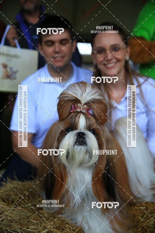 Buy your photos of the eventExpocani Vai Tot Canicross on Fotop