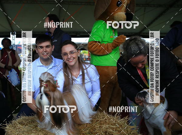 Buy your photos of the eventExpocani Vai Tot Canicross on Fotop