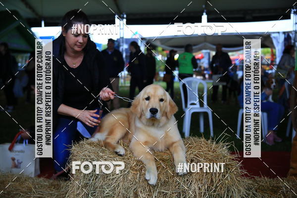 Buy your photos of the eventExpocani Vai Tot Canicross on Fotop