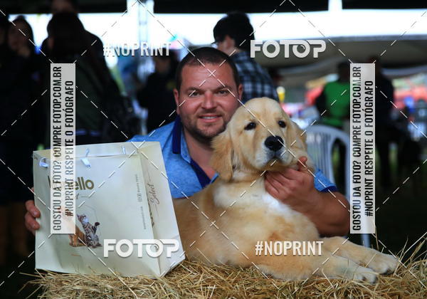 Buy your photos of the eventExpocani Vai Tot Canicross on Fotop