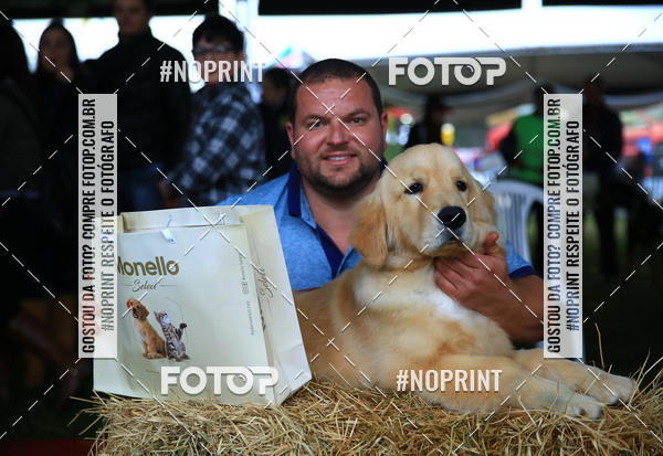 Buy your photos of the eventExpocani Vai Tot Canicross on Fotop