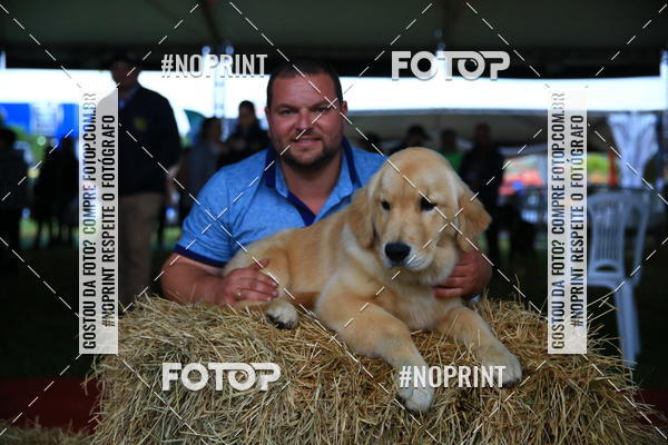 Buy your photos of the eventExpocani Vai Tot Canicross on Fotop