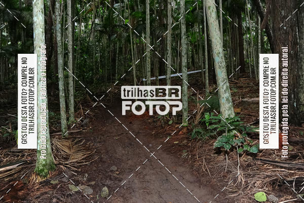 Buy your photos of the eventDesafio 6 horas MTB parque MALWEE on Fotop