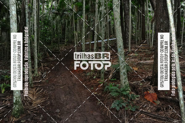 Buy your photos of the eventDesafio 6 horas MTB parque MALWEE on Fotop