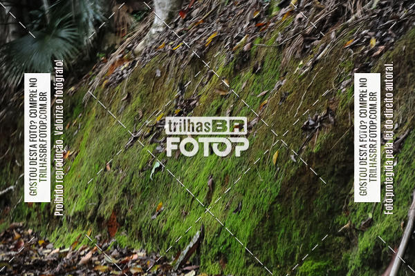 Buy your photos of the eventDesafio 6 horas MTB parque MALWEE on Fotop