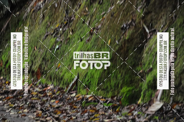 Buy your photos of the eventDesafio 6 horas MTB parque MALWEE on Fotop