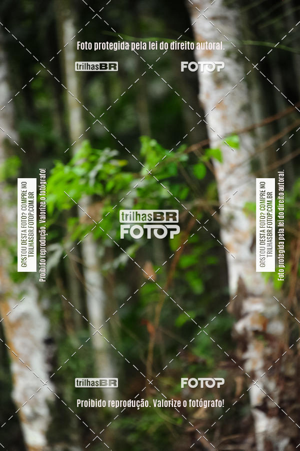 Buy your photos of the eventDesafio 6 horas MTB parque MALWEE on Fotop