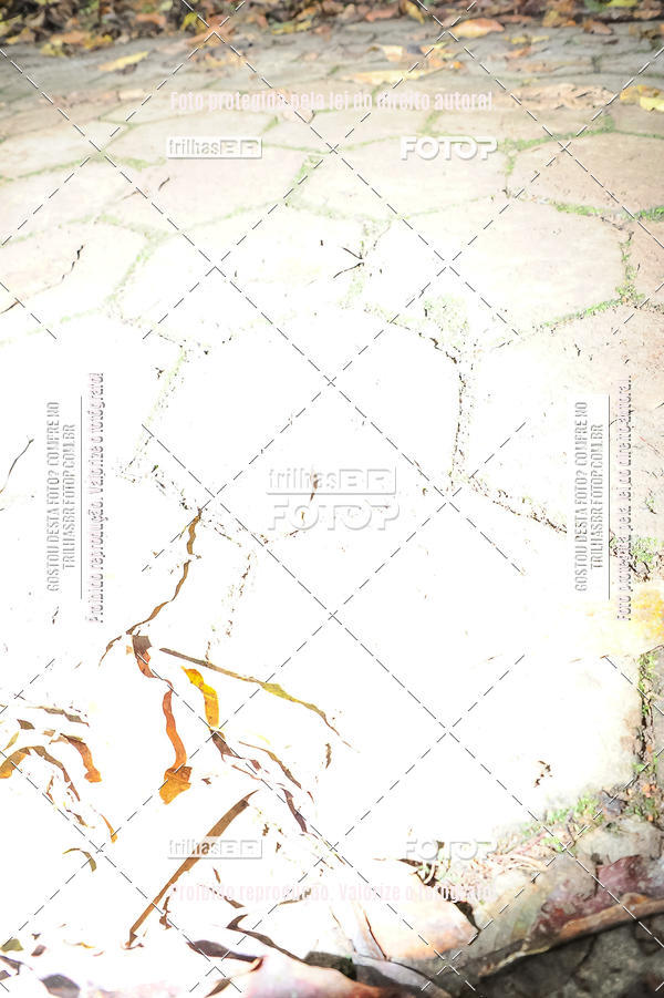 Buy your photos of the eventDesafio 6 horas MTB parque MALWEE on Fotop