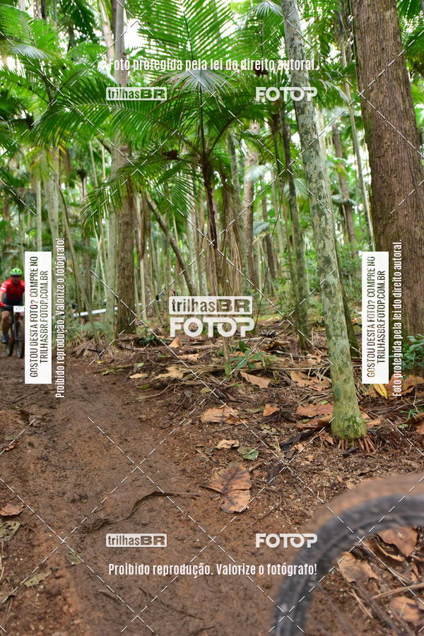 Buy your photos of the eventDesafio 6 horas MTB parque MALWEE on Fotop