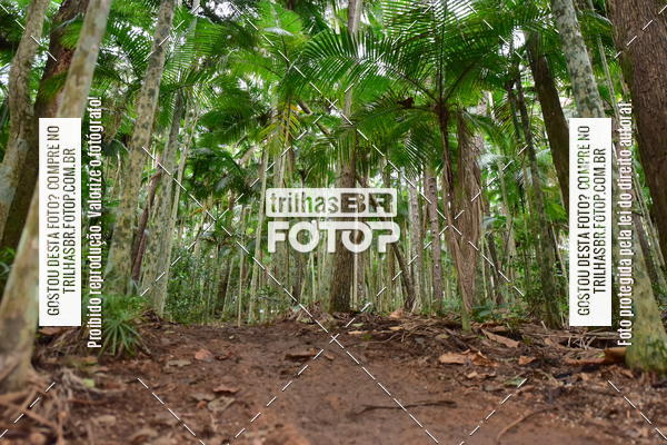 Buy your photos of the eventDesafio 6 horas MTB parque MALWEE on Fotop