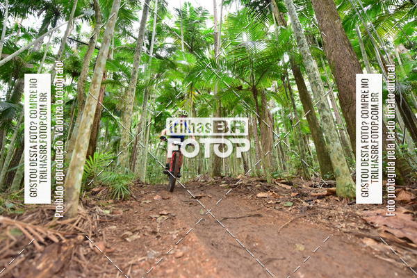 Buy your photos of the eventDesafio 6 horas MTB parque MALWEE on Fotop