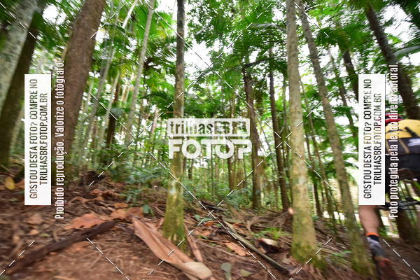 Buy your photos of the eventDesafio 6 horas MTB parque MALWEE on Fotop