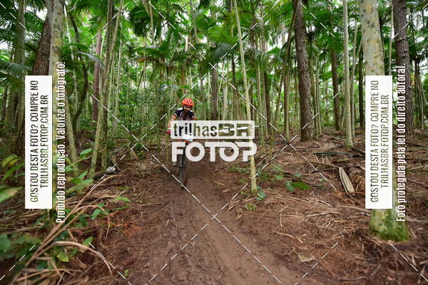 Buy your photos of the eventDesafio 6 horas MTB parque MALWEE on Fotop