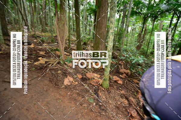 Buy your photos of the eventDesafio 6 horas MTB parque MALWEE on Fotop