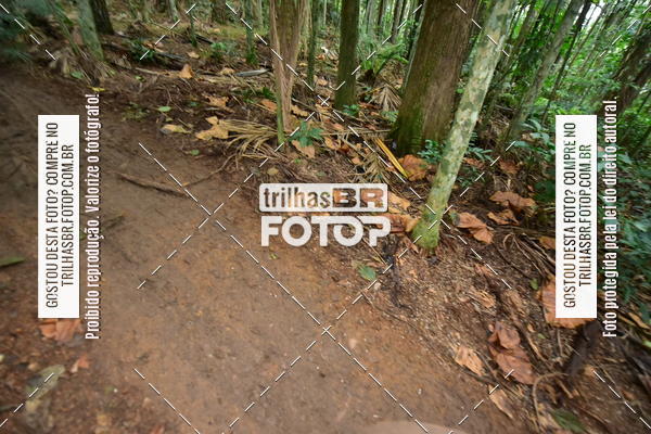 Buy your photos of the eventDesafio 6 horas MTB parque MALWEE on Fotop