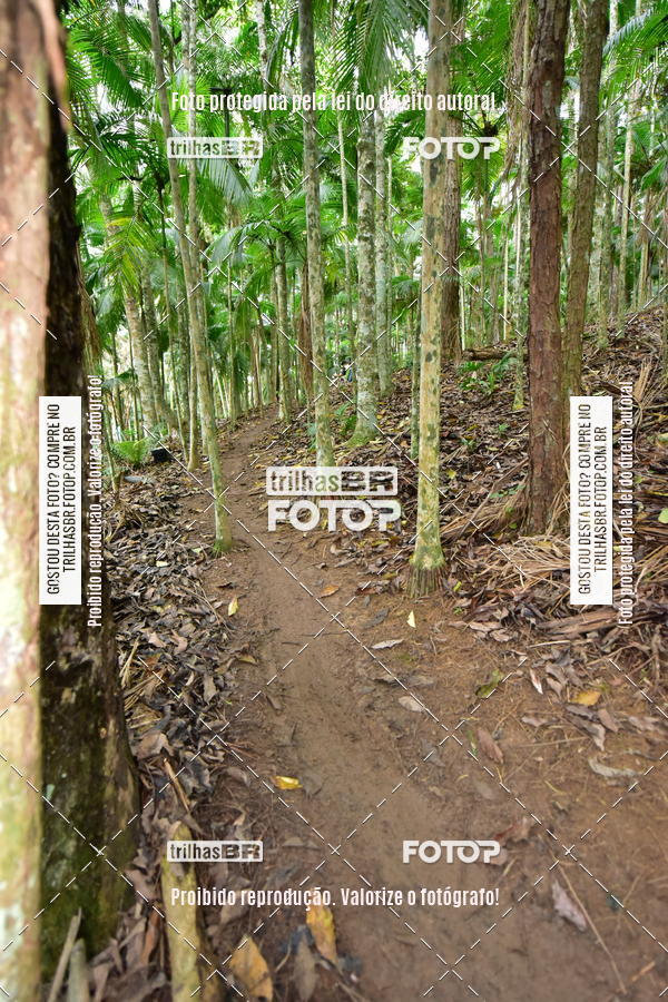 Buy your photos of the eventDesafio 6 horas MTB parque MALWEE on Fotop