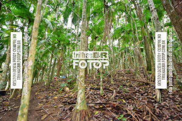 Buy your photos of the eventDesafio 6 horas MTB parque MALWEE on Fotop