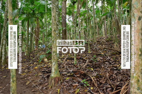 Buy your photos of the eventDesafio 6 horas MTB parque MALWEE on Fotop