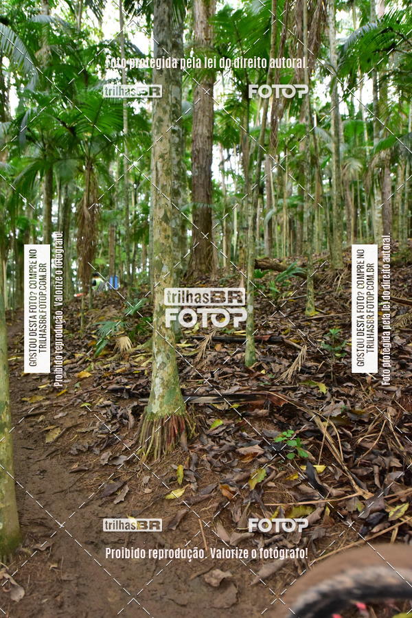 Buy your photos of the eventDesafio 6 horas MTB parque MALWEE on Fotop