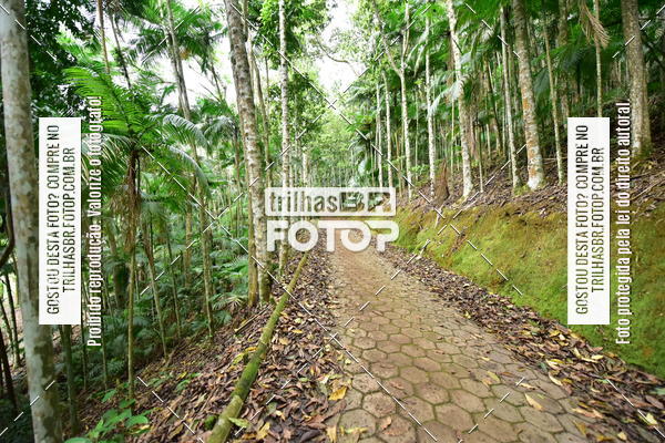 Buy your photos of the eventDesafio 6 horas MTB parque MALWEE on Fotop