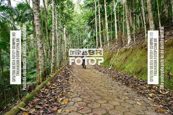 Buy your photos of the eventDesafio 6 horas MTB parque MALWEE on Fotop