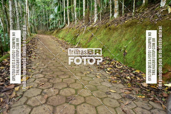 Buy your photos of the eventDesafio 6 horas MTB parque MALWEE on Fotop
