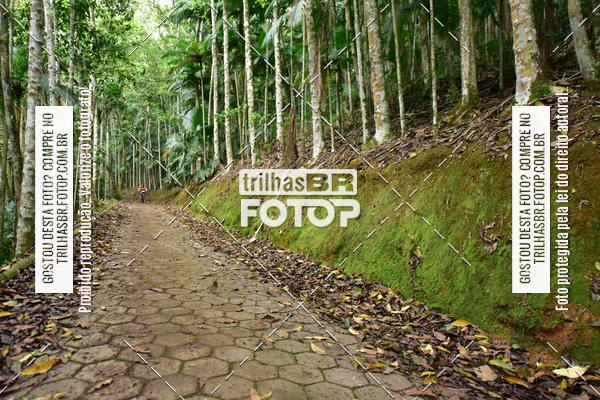 Buy your photos of the eventDesafio 6 horas MTB parque MALWEE on Fotop