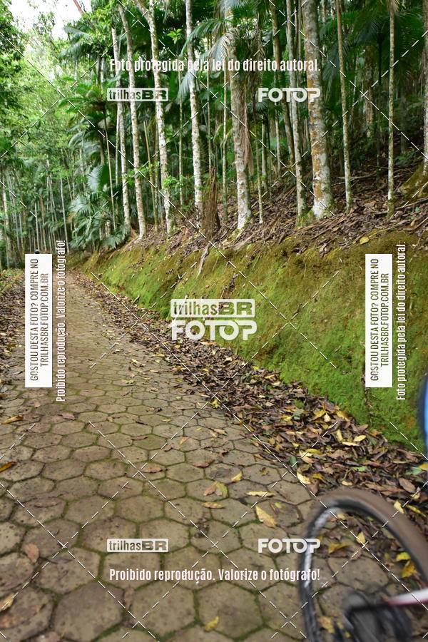 Buy your photos of the eventDesafio 6 horas MTB parque MALWEE on Fotop