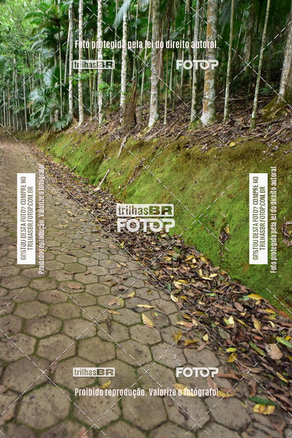 Buy your photos of the eventDesafio 6 horas MTB parque MALWEE on Fotop