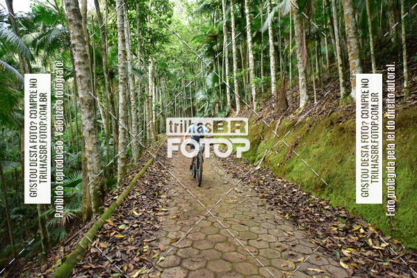 Buy your photos of the eventDesafio 6 horas MTB parque MALWEE on Fotop