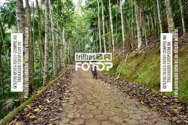 Buy your photos of the eventDesafio 6 horas MTB parque MALWEE on Fotop