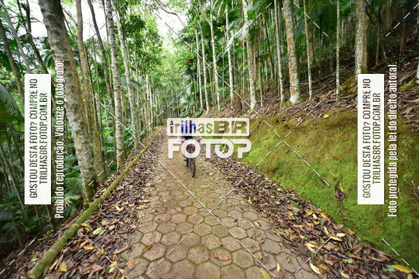 Buy your photos of the eventDesafio 6 horas MTB parque MALWEE on Fotop