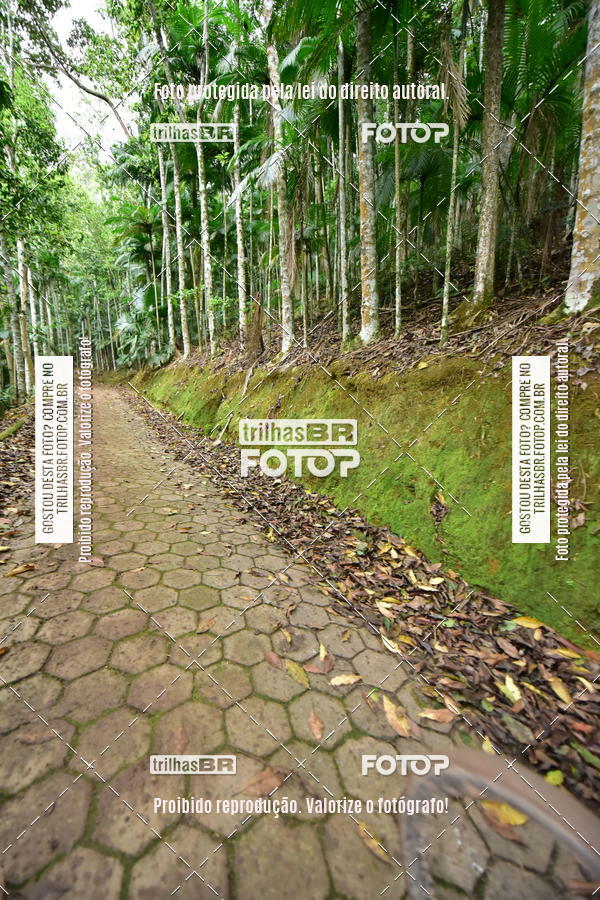 Buy your photos of the eventDesafio 6 horas MTB parque MALWEE on Fotop