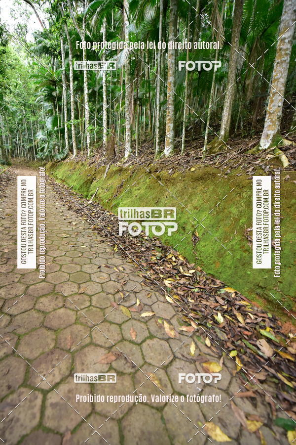 Buy your photos of the eventDesafio 6 horas MTB parque MALWEE on Fotop