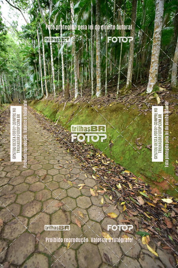 Buy your photos of the eventDesafio 6 horas MTB parque MALWEE on Fotop