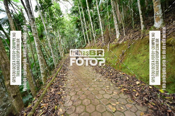 Buy your photos of the eventDesafio 6 horas MTB parque MALWEE on Fotop