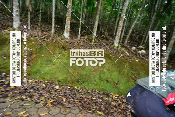 Buy your photos of the eventDesafio 6 horas MTB parque MALWEE on Fotop