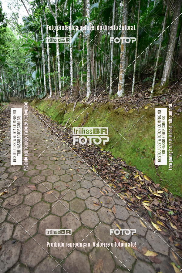 Buy your photos of the eventDesafio 6 horas MTB parque MALWEE on Fotop