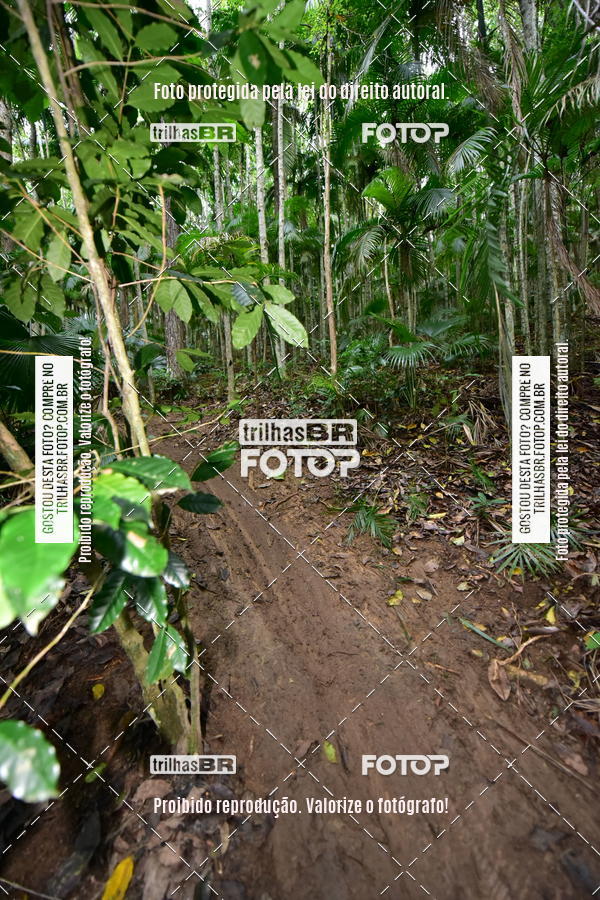 Buy your photos of the eventDesafio 6 horas MTB parque MALWEE on Fotop